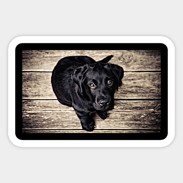 Wow! What A Beautiful Black Puppy Dog Sticker by cameradog